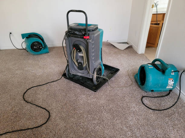 Best Professional water damage repair  in Gadsden, AL
