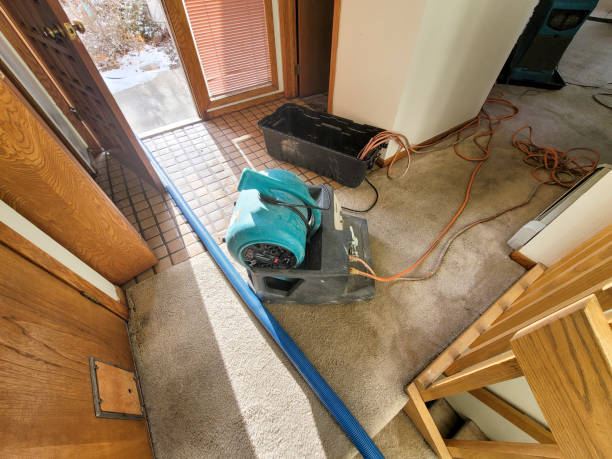 Best Residential water damage restoration  in Gadsden, AL