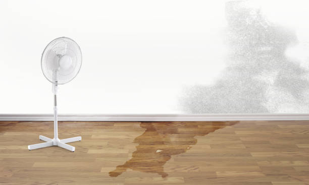 Best Local water damage restoration  in Gadsden, AL