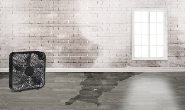 Best Commercial water damage restoration  in Gadsden, AL