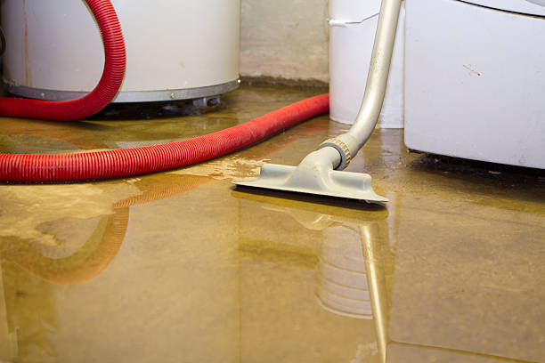 Best Commercial water damage restoration  in Gadsden, AL